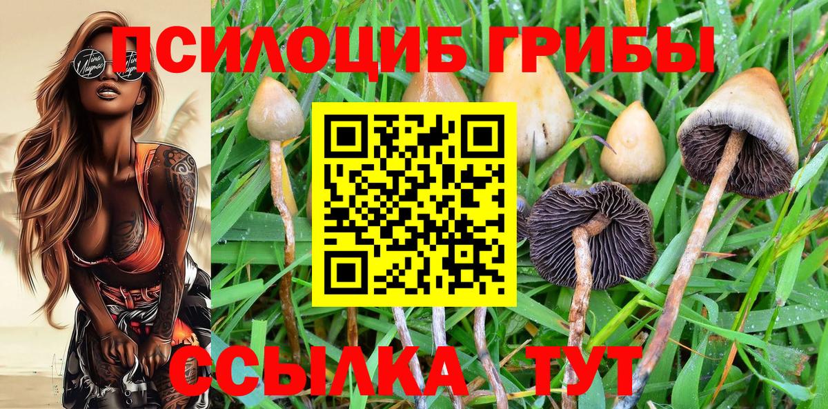 Тавда  Галлюциногенные грибы Psilocybine cubensis  Галлюциногенные грибы ЛСД  Вход с VPN 