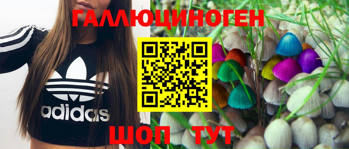 Псилоцибиновые грибы Cubensis Тавда